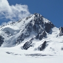 Chardonnet Eperon Migot-01